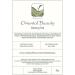 Taiwanese White Tip Oolong Tea - Oriental Beauty Wu Long Tea - 20g - Buy Online on GoSupps.com