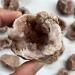 Natural Crystal Rough Crystal Natural Crystal Argentine Crystal Geode Cut Crystal Cluster Stone Reiki Specimen Quartz Home Decor Suitable for Home Office Decoration Home Goods (Size : 2pcs) - Buy Online on GoSupps.com