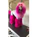 CRAZY LIBERTY Pets Hair Dye (Pink) - Non-Toxic Permanent Dog Hair Dye for Creative Grooming | Pet Safe, Lasts Over 24 Washes - Buy Online on GoSupps.com