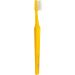 Buy Tep Select Medium Toothbrush - Strong Bristles & Tapered Head - Assorted Colors (Pack of 3) | International Shipping Available - Buy Online on GoSupps.com
