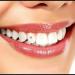 10 Tooth Rhinestone Swarovski Crystal - Buy Online on GoSupps.com