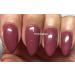 Bluesky Nail Gel Polish Dark Pink MARSALA Deep Dark Pink Mauve Musk UV LED Soak Off 10ml - Buy Online on GoSupps.com