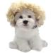 Funny Dog & Cat Role Play Wigs for Halloween Christmas & Parties | Premium Pet Wigs for Small Medium & Large Dogs - Golden Hair - Buy Online on GoSupps.com
