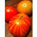 30 mr Stripey Tomato 2018 (All Non-ogm semi-cimel Vegetable!)