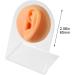Silicone Ear Model Soft Flexible Fake Ear Piercing Practice Model Silicone Body Parts Realistic Ear Mold for Jewelry Display Teaching Tool Style3 - Buy Online on GoSupps.com