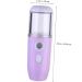AUTSUPPL 1pc Hydrating Instrument Skin Small Humidifier Plant Beauty Spray Water Meter Portable Purple Abs - Buy Online on GoSupps.com