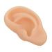 Silicone Ear Model 1pc Silicone Ear Silicone Tool Specialty Tools Ear Presentation Model Silica Gel Care Products Major Beige 3D Fake Ear Silicone Teaching Model Human Ear Model