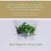 Mugwort Essence - Vegan Hydrating Serum for Sensitive Skin | Redness Relief & Toner for All Skin Types | Korean Beauty - Buy Online on GoSupps.com