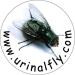 Urinal Fly Toilet Stickers 12 Pack Lime Green - Target 80% Cleaner Bathrooms Fast! - Buy Online on GoSupps.com