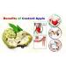 Herbal Magic Custard Apple Powder - Pure & Natural for Vibrant Smoothies, Shakes, Juices, Baking - 100g Pack - Irresistibly Delicious for Active Lifestyles - Buy Online on GoSupps.com