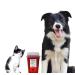 Diabetic Pet Syringe Disposal Container | 1 Quart Size (3 Pack) Design by Vets for Home Safety