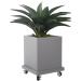 Square Mobile Flower Pot Tray Mobile Pot Base Wheelbarrow Heavy Duty Movable Plant Stand for Plants Square Simple Universal Wheel Chassis Imitation Granite(Size:34 CM Color:Grey) 34 CM Grey - Buy Online on GoSupps.com