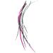 Real Feather Hair Extensions - Princess 10 Feathers - Shop Now - Buy Online on GoSupps.com