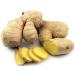 Ginger Supreme - Respiratory Harmony Harmony Nutraceuticals Supplement for Healthy Digestion Breathing Circulation and Joints - Buy Online on GoSupps.com