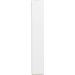 Buy Toozey 2-Piece LED Pointer Cat & Dog Toy | USB Rechargeable 7-in-1 5 Patterns | Includes 2 Small Mice - Interactive Pet Fun - Buy Online on GoSupps.com
