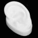 Ear Display Model Silicone Ear Model Silicone Material for Hearing Aids Wearing(Left) - Buy Online on GoSupps.com