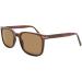 Shop SB-CP119 D Sun Sunglasses with High-Quality Lenses | International Shipping Available - Buy Online on GoSupps.com