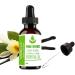Buy Pure Herbs Essential Oils Vanilla (10 ml) - Natural Aromatherapy & Premium Quality - Buy Online on GoSupps.com
