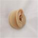 Silicone Ear Model - Simulation Human Ear Model - for Human Body Piercing Acupuncture and Moxibustion Ear Teaching Earrings Earrings Show Left - Buy Online on GoSupps.com