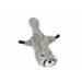Nobby plush raccoon flat for dogs 61 cm 1 piece