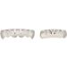 Shiny Hip Hop Braces & Teeth Props - Perfect Halloween Party Accessories & Gifts (12 Pack) - Buy Online on GoSupps.com