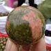 Sphere Crystal Specimen Natural Stones and Minerals - Buy Online on GoSupps.com