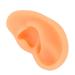 Soft Lifelike Fake Ear Model for Hospital - Professional Simulated Left Ear Mould - Buy Online on GoSupps.com