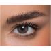 Anesthesia Colored contact lens Addict Terra (dioptria -2.50) -strongly covering monthly lenses for 6 months in natural blue -gray particularly natural result for dark eyes