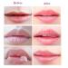 2PCS Bee Balm Lip Balm Honey Pot Propolis - Moisturizing & Hydrating Lip Mask for Dry and Cracked Lips - Buy Online on GoSupps.com
