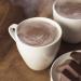 HealthyWise - High Protein Hot Cocoa - Instant Low Carb  Low Calorie Hot Chocolate Mix with 15g Protein  7 Servings Per Pack (Classic) - Buy Online on GoSupps.com
