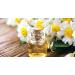 Buy Organic Daisy Oil 60ml - 100% Pure Essential Oil in Glass Bottle - Fresh Flowers Manelya - Imported from France - Buy Online on GoSupps.com
