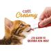 Buy Catit Creamy Treats for Cats - 4 Pack Salmon & Shrimp 40g | International Shipping Available - Buy Online on GoSupps.com