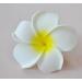 12 Pieces Yellow Hawaii Frangipani Foam Flower Hair Clips - 2.4 for Weddings & Beach Decor - Buy Online on GoSupps.com