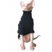 Sphynx Hairless Cat Clothes Turtleneck Sweater -Cats & Small Dogs Wear Soft Cotton Breathable Pullover for Devon Rex Cat Cornish Rex Cat Bambino Peterbald Cat and Elf(Black M) Medium Black