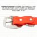 Regal Dog Products Waterproof Dog Halfband Collar for Small Medium & Large Dogs - Orange | Durable & Stylish Dog Collars for Puppies to Large Breeds - Buy Online on GoSupps.com