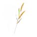 DECHOUS Simulated Ears of Corn Dry Flowers for Decoration Wheat Sheave Bundle Flower Fake Wheat Stalks Decoration for Home Decor for Home Artificial Plants Faux Plant Straw Manual Pu Golden 12X75CM