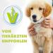 Vipibax Giardia EX Hygiene Spray for Dogs & Cats - 500ml Disinfectant for Giardia Viruses Fungi & Bacteria - International Shipping Available - Buy Online on GoSupps.com