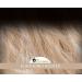 Ellen Wille Jamila Plus - Premium Wig for Stylish Comfort | International Shipping Available - Buy Online on GoSupps.com