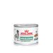Royal Canin Veterinary Diabetic Special Low Carbohydrate Canine Mousse | 12 x 195 g | Wet Food for Adult Dogs | Regulation of Blood Sugar Levels | High Protein Content