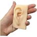 Silicone Ear Model - 1 Pair Silicone Ear Acupuncture Practice Model - Flexible Earmold Artificial Simulation Human Ear for Acupuncture Studs Earring Earphone - Buy Online on GoSupps.com
