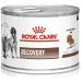 Royal Canin Veterinary Recovery | 12 x 195g | Complete Dietary Food for Adult Dogs and Cats | Ultra Soft High Protein Foam