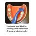 Curvex II Toothbrush - Advanced ergonomic design for superior cleaning - Buy Online on GoSupps.com
