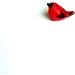 10pcs Multicolor Clay Red Birds Mini Figurines for DIY Dollhouse Craft - An_Shop - Buy Online on GoSupps.com