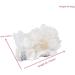 Crystal Rough Natural Raw Clean Quartz White Crystal Cluster Ornaments Specimen Home Decoration Raw Crystals (Size : 350-450g) - Buy Online on GoSupps.com