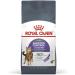 Royal Canin Appetite Control Care Adult Dry Cat Food 2kg (Suitable for Sterilised Cats) 2 kg (Pack of 1) - Buy Online on GoSupps.com