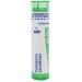 Boiron Collinsonia Canadensis 8X Md 80 Pellets for Hemorrhoids with Constipation