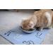Americat Company Cat Feeding Mat for Food and Water Bowls - Machine Washable  Waterproof  Eco-Friendly  No-Slip  Made in USA Cat Placemat Cats - Buy Online on GoSupps.com