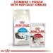 ROYAL CANIN Indoor Long Hair Cat Food 10kg - Buy Online on GoSupps.com