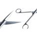 Buy Minkissy 4-Piece Onion Cutter & Pet Hair Scissors Set - Stainless Steel Animal Hair Cutting Tools for Grooming - Buy Online on GoSupps.com