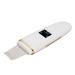 Face Skin Spatula - Blackhead Remover & Pore Washing Tool with LED Display - Buy Online on GoSupps.com